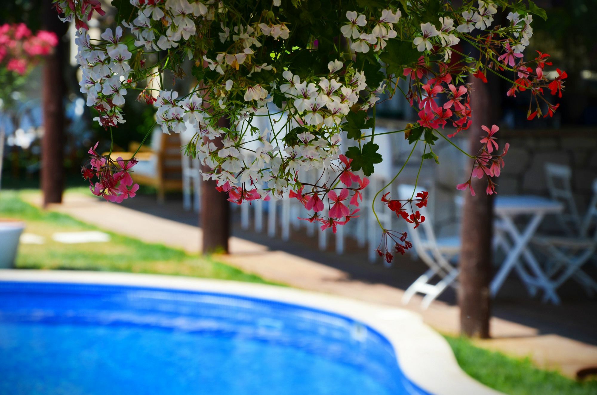 Tasquartas Hotel Alacati Exterior photo